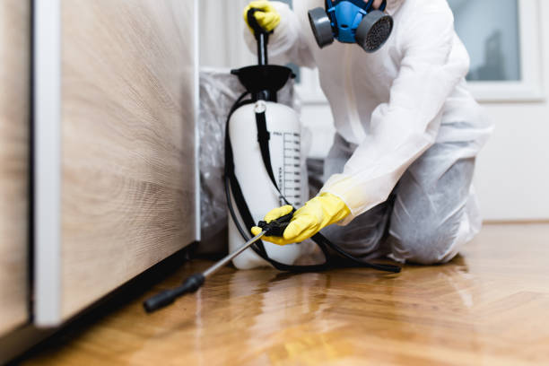 Best Wildlife Control Services  in Wylie, TX