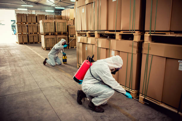 Best Cockroach Control Services  in Wylie, TX