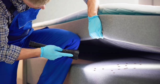 Best Pest Prevention Services  in Wylie, TX